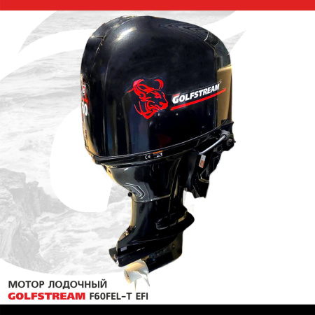 F60FEL-T EFI
