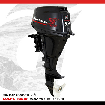 Мотор лодочный GOLFSTREAM F9.9AFWS Enduro (карбюратор)
