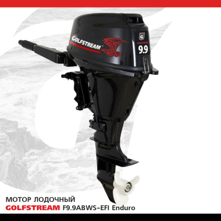 F9.9ABWS-EFI enduro