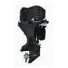 2 Мотор лодочный GOLFSTREAM F100FEL-T EFI
